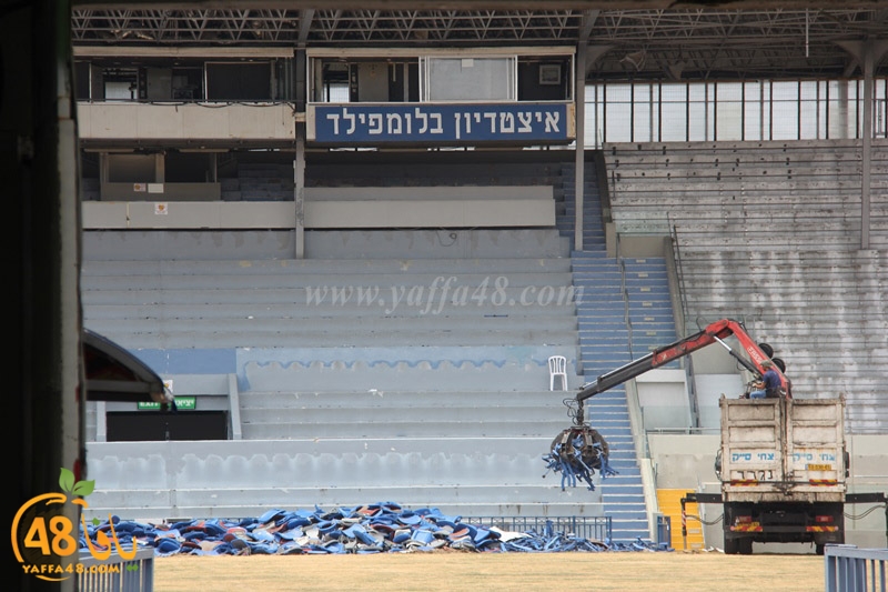 blomfeild mal3ab31 (5).JPG